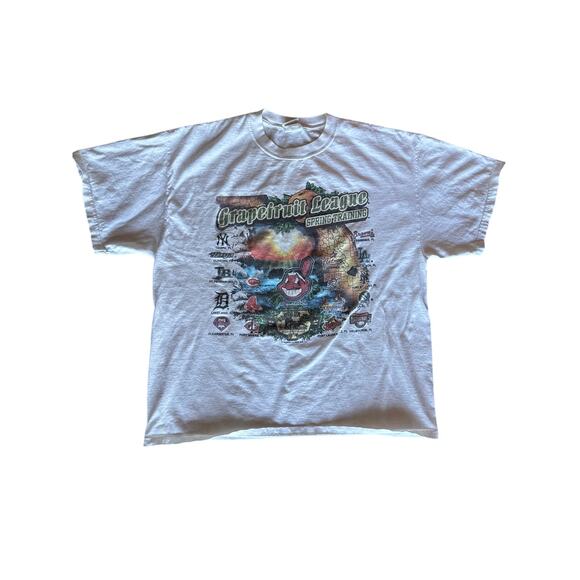 Vintage 04 Grapefruit League MLB Spring Training Florida XL Lee Sport White Tee - Picture 1 of 6